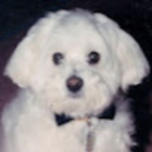 Meet your Posher, Gerry